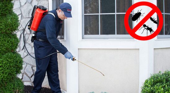 Niksar Bit İlaçlama böcek ilaçlama ve haşere kontrolü — ilaclama-tr.com